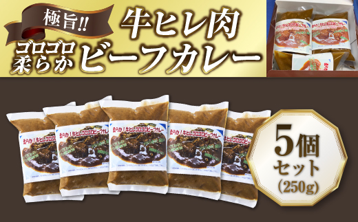 極旨！牛ヒレ肉ゴロゴロ柔らかビーフカレー（250g）5個セット 牛肉 肉 ひれ肉 ヒレ肉 柔らか ビーフカレー カレー ギフト パーティ ランチ 休日のお昼ごはん 簡単 フレンチ シェフ 