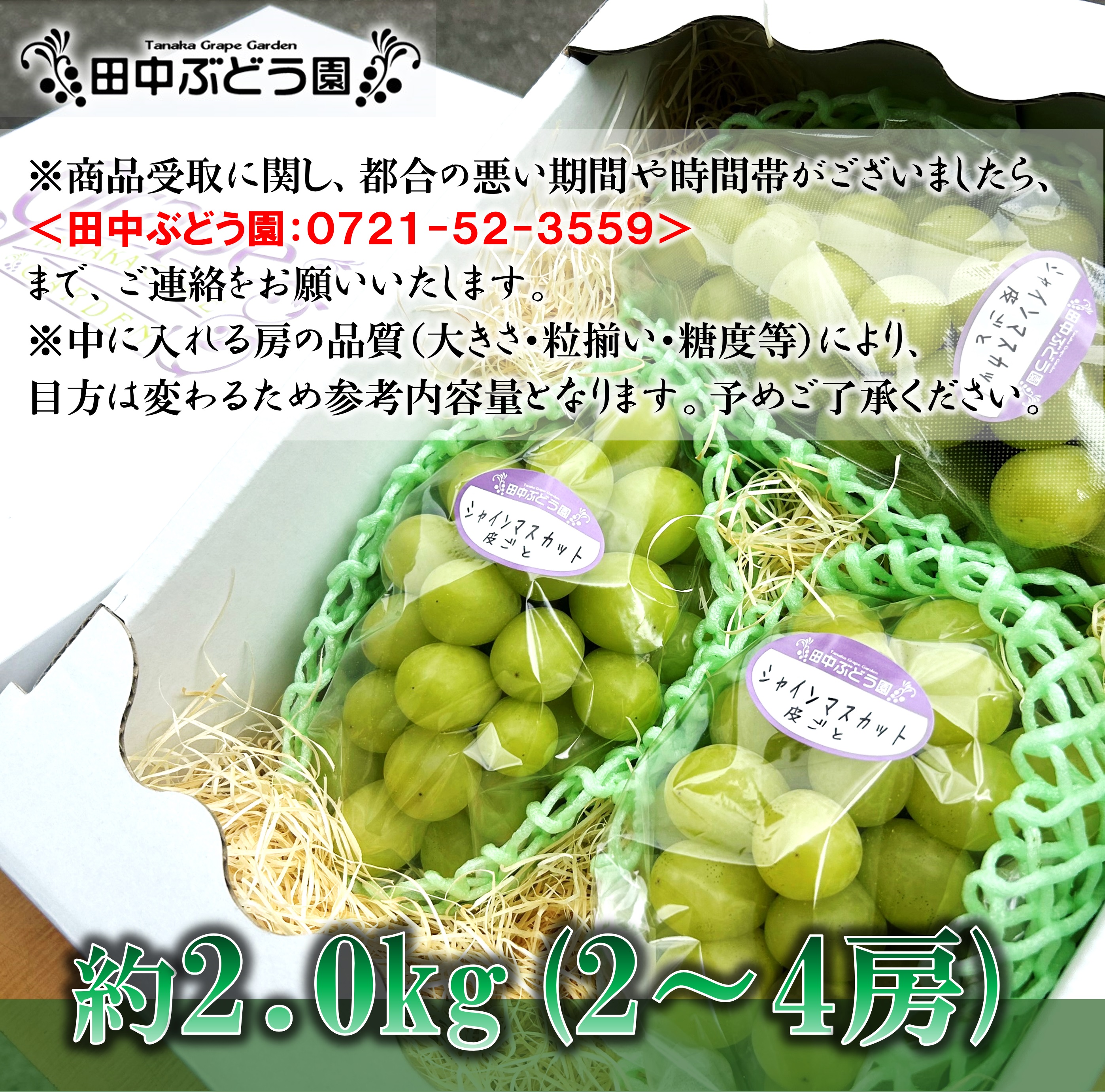 田中ぶどう園の厳選朝採りシャインマスカット＜約1.8～2.0kg（2～4房）＞※発送前のご連絡はできませんので、ご注意ください※