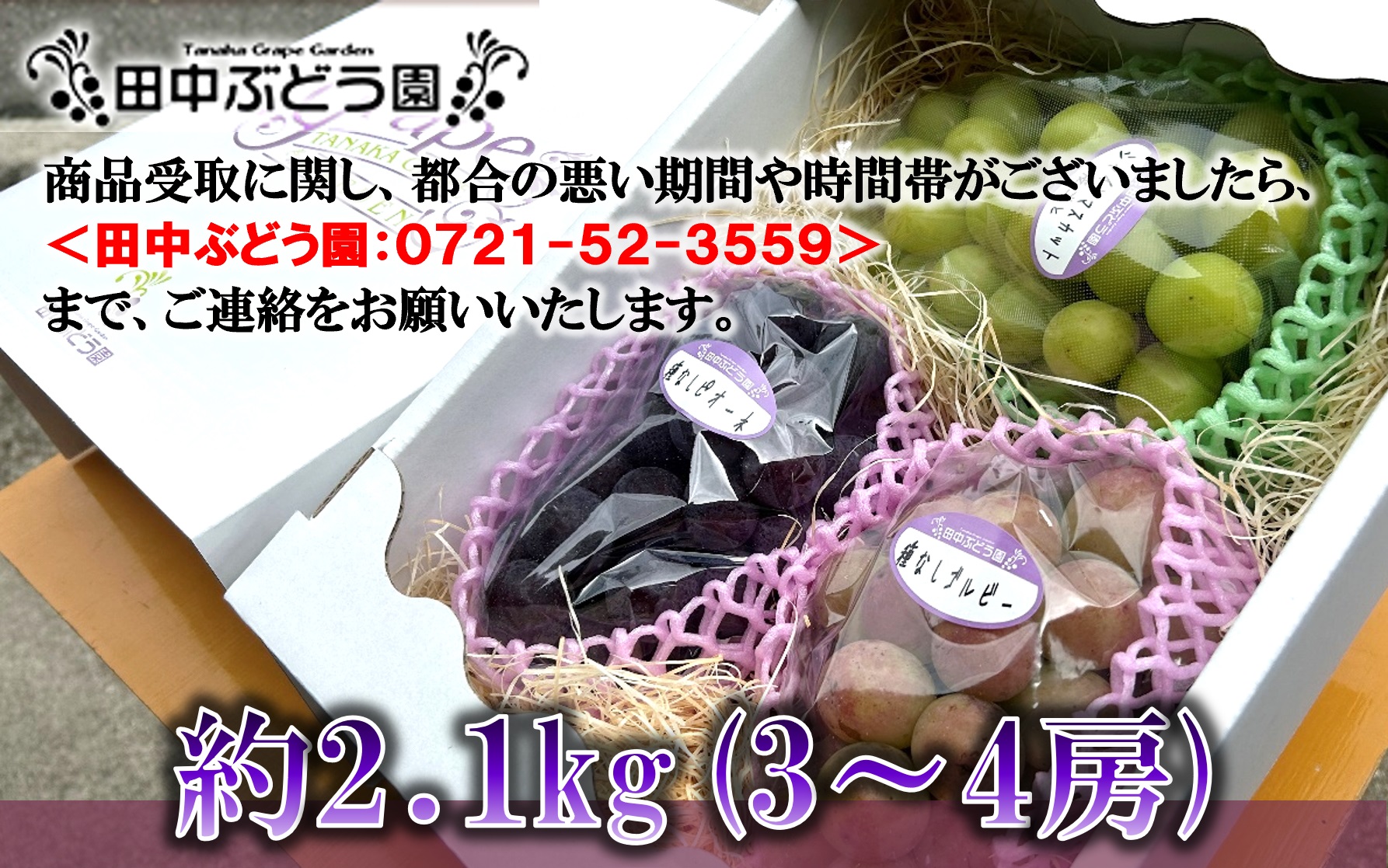 ＜2025年8月中旬～発送＞食べやすい！田中ぶどう園の種無しぶどうの詰め合わせ　約2.1kg（3～4房）※発送前のご連絡はできませんので、ご注意ください※