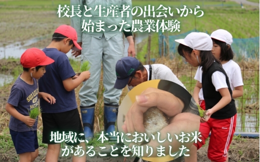 【2026年11月以降発送】令和8年産 新米 にこまる 天野輝10kg （精米後約9kg）てんのかがやき 大阪府 河内長野市産 白米 甘み 粘り ブランド米 こめ コメ 子ども 食育 減農薬 河内長野市米 eco米 食味 ごはん 銘柄米 ブランド 単一米