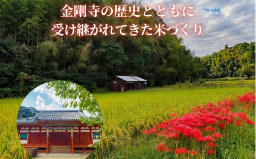 【2026年11月以降発送】令和8年産 新米 にこまる 天野輝10kg （精米後約9kg）てんのかがやき 大阪府 河内長野市産 白米 甘み 粘り ブランド米 こめ コメ 子ども 食育 減農薬 河内長野市米 eco米 食味 ごはん 銘柄米 ブランド 単一米