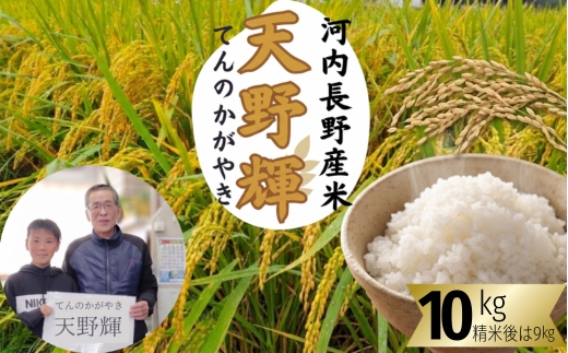 【2026年11月以降発送】令和8年産 新米 にこまる 天野輝10kg （精米後約9kg）てんのかがやき 大阪府 河内長野市産 白米 甘み 粘り ブランド米 こめ コメ 子ども 食育 減農薬 河内長野市米 eco米 食味 ごはん 銘柄米 ブランド 単一米