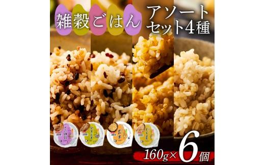 雑穀ごはん アソートセット 4種 160g 6個 十六雑穀 発芽玄米 玄米 もち麦 パックごはん パックご飯 ごはんパック ご飯パック パックライス パック 16雑穀 雑穀 米 ごはん ご飯 こめ ライス 備蓄 保存 防災 レンジ 温めるだけ レンチン 簡単 調理 健康 栄養 ダイエット 美容 レトルト インスタント 国産 セット 人気 おいしい 6 6食 おくさま印 大阪 松原