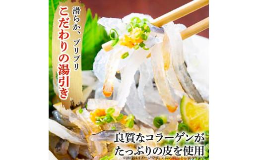 ＼とらふぐ取扱量日本一／ 7営業日以内発送 ふぐ 刺身 2人前 冷凍 真空 解凍するだけ お手軽 とらふぐ てっさ 国産 フグ刺し 刺し身 河豚 高級 hugu HUGU fugu FUGU 鮮魚 魚 魚介 torafugu torahugu 新鮮 湯引き 家庭用 プレゼント 鍋 大阪府 松原市 限定 下関 に並ぶ 玄品ふぐ ふるさと納税ふぐ 2人前 冬 旬