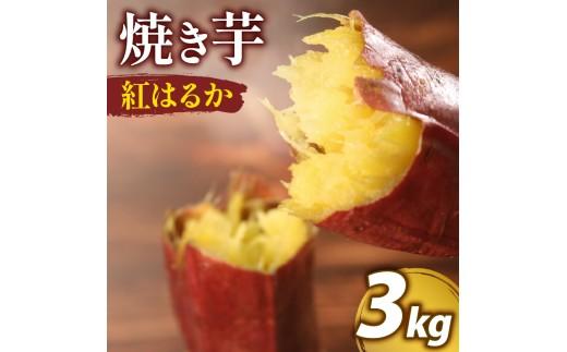 冷凍 紅はるか つぼ焼き芋 ３kg 約 12個 真空パック 入り 熟成 壺焼き さつまいも 個包装 自然解凍 芋 簡単調理 アイス 芋 デザート 大阪府 松原市 