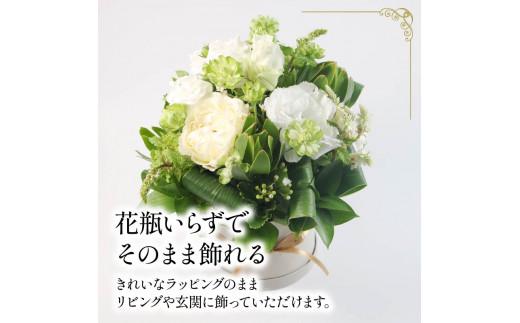 蟄」遽髯仙ョ 繝輔Λ繝ッ繝シ繧「繝ャ繝ウ繧ク繝。繝ウ繝 繝帙Ρ繧、繝 繧ー繝ェ繝シ繝ウ 闃ア譚 繝悶シ繧ア 闃ア 縺願干 縺顔・昴> 雍育ュ皮畑 雍医j迚ゥ 隱慕函譌・ 繧ョ繝輔ヨ 繝励Ξ繧シ繝ウ繝 豈阪ョ譌・ 繝ゥ繝繝斐Φ繧ー 繧、繝ウ繝繝ェ繧「 縺翫∪縺九○ 螟ァ髦ェ蠎 譚セ蜴溷ク