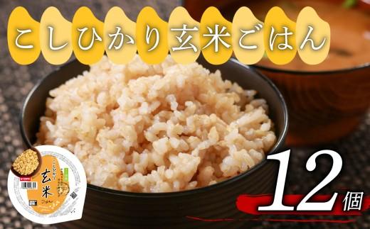 こしひかり 玄米ごはんパック 160g 12個 玄米 米 ごはん ご飯 こめ パックライス パックご飯 パックごはん ご飯パック ごはんパック パック ライス 備蓄 保存 非常 防災 電子 レンジ 温めるだけ レンチン 簡単 健康 ダイエット 美容 ヘルシー レトルト インスタント おいしい 人気 おすすめ 12 12食 おくさま印 人気の玄米ご飯パック 美味しい玄米ご飯パック 大阪 松原