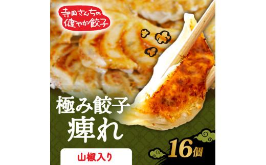【メディア出演多数】 山椒餃子 16個 極み餃子 痺れ 期間限定 山椒 にんにく gyo-za 不使用 ヘルシー gyouza 冷凍 餃子 ぎょうざ 国産野菜 おから 鶏肉 アボカド ヨーグルト 生餃子 ギョウザ ギョーザ 焼き餃子 水餃子 冷凍餃子 惣菜 夜ご飯 おかず 時短 大阪府 松原市
