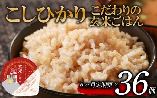 定期便 6回 こしひかり 玄米ごはんパック 120g 36個 玄米 米 お米 ごはん ご飯 こめ パックライス パックご飯 パックごはん ご飯パック ごはんパック パック ライス 備蓄 保存 非常 防災 電子 レンジ 温めるだけ レンチン 簡単 健康 ダイエット 美容 ヘルシー 36 36食 レトルト インスタント おいしい 人気 おすすめ 大阪 松原