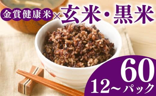 ご飯パック 金賞 健康米 玄米・黒米  120g×24個入り 国産 レンチン もち麦 軽食 夜食 簡単 白米 麦 食物繊維 ビタミン 御飯 ごはん パック ご飯 パックライス