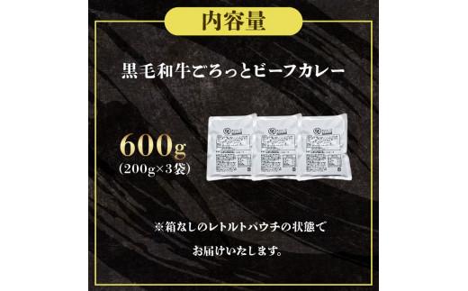 訳あり 黒毛和牛 レトルト カレー 200g×3袋 600g パウチ レトルトカレー 牛肉 ビーフカレー 和牛 簡易包装 温めるだけ 簡単調理 時短 レンジ 湯煎 常温 備蓄 家庭用 たっぷり 200g カレーうどん カレーライス お取り寄せ 大阪府 松原市
