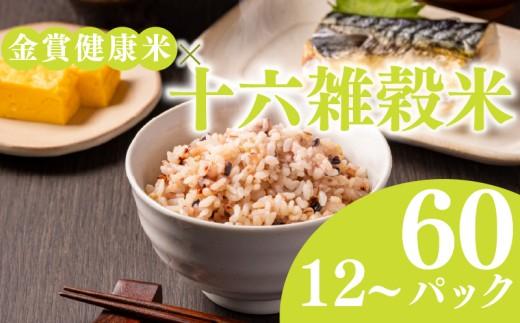 ご飯パック 金賞 健康米 十六雑穀米  120g×24個入り 国産 レンチン もち麦 軽食 夜食 簡単 白米 麦 食物繊維 ビタミン 御飯 ごはん パック ご飯 パックライス