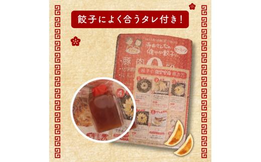 【 メディア多数出演 】 やさしい生餃子 55個 ヘルシー にんにく 不使用 健康 冷凍 餃子 ぎょうざ 国産野菜 おから 鶏肉 アボカド ヨーグルト 生餃子 ギョウザ ギョーザ 焼き餃子 水餃子 冷凍餃子 すいぎょうざ やきぎょうざ すいぎょうざ gyouza 惣菜 GYOUZA 夜ご飯 おかず 時短 大阪府 松原市