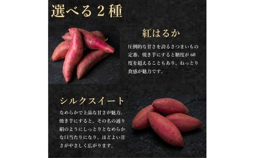 【青果店厳選】 蜜 焼き芋 シルクスイート 3kg