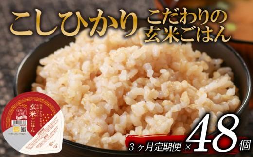 定期便 3回 こしひかり 玄米ごはんパック 120g 48個 玄米 米 お米 ごはん ご飯 こめ パックライス パックご飯 パックごはん ご飯パック ごはんパック パック ライス 備蓄 保存 非常 防災 電子 レンジ 温めるだけ レンチン 簡単 健康 ダイエット 美容 ヘルシー 48 48食 レトルト インスタント おいしい 人気 おすすめ 大阪 松原