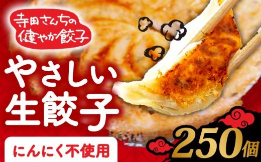 【 メディア多数出演 】 やさしい生餃子 250個 健康 にんにく 不使用 ヘルシー 冷凍 餃子 ぎょうざ 国産野菜 おから 鶏肉 アボカド ヨーグルト 生餃子 ギョウザ ギョーザ 焼き餃子 水餃子 冷凍餃子 すいぎょうざ やきぎょうざ 惣菜 gyouza 夜ご飯 おかず 時短 GYOUZA 大阪府 松原市