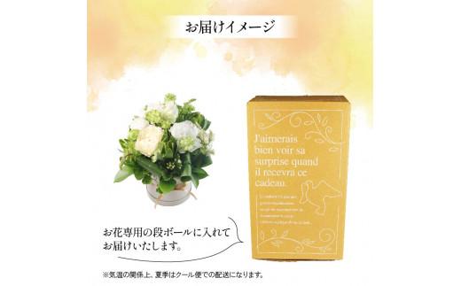 蟄」遽髯仙ョ 繝輔Λ繝ッ繝シ繧「繝ャ繝ウ繧ク繝。繝ウ繝 繝帙Ρ繧、繝 繧ー繝ェ繝シ繝ウ 闃ア譚 繝悶シ繧ア 闃ア 縺願干 縺顔・昴> 雍育ュ皮畑 雍医j迚ゥ 隱慕函譌・ 繧ョ繝輔ヨ 繝励Ξ繧シ繝ウ繝 豈阪ョ譌・ 繝ゥ繝繝斐Φ繧ー 繧、繝ウ繝繝ェ繧「 縺翫∪縺九○ 螟ァ髦ェ蠎 譚セ蜴溷ク