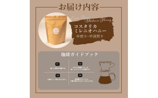 【 粉 】 自家焙煎 コーヒー 100g コスタリカ コーヒー粉 coffee ko-hi- KO-HI- co-hi- CO-HI- COFFEE 粉 フィルター レギュラー ブレンド キャンプ 珈琲 こーひー コーヒー 焙煎 珈琲 喫茶店 ドリップ