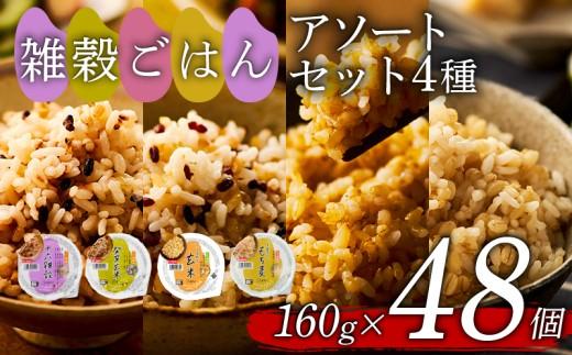 雑穀ごはん アソートセット 4種 160g 48個 十六雑穀 発芽玄米 玄米 もち麦 パックごはん パックご飯 ごはんパック ご飯パック パックライス パック 16雑穀 雑穀 米 ごはん ご飯 こめ ライス 備蓄 保存 防災 レンジ 温めるだけ レンチン 簡単 調理 健康 栄養 ダイエット 美容 レトルト インスタント 国産 セット 人気 おいしい 48 48食 おくさま印 大阪 松原