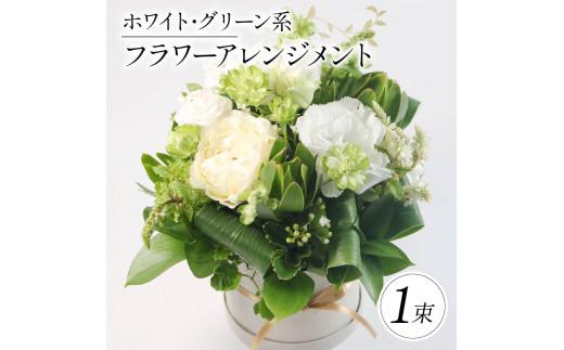 蟄」遽髯仙ョ 繝輔Λ繝ッ繝シ繧「繝ャ繝ウ繧ク繝。繝ウ繝 繝帙Ρ繧、繝 繧ー繝ェ繝シ繝ウ 闃ア譚 繝悶シ繧ア 闃ア 縺願干 縺顔・昴> 雍育ュ皮畑 雍医j迚ゥ 隱慕函譌・ 繧ョ繝輔ヨ 繝励Ξ繧シ繝ウ繝 豈阪ョ譌・ 繝ゥ繝繝斐Φ繧ー 繧、繝ウ繝繝ェ繧「 縺翫∪縺九○ 螟ァ髦ェ蠎 譚セ蜴溷ク