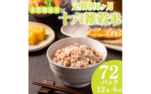 定期便 6ヶ月 ご飯パック 金賞 健康米 十六雑穀米  120g×12個入り 国産 レンチン もち麦 軽食 夜食 簡単 白米 麦 食物繊維 ビタミン 御飯 ごはん パック ご飯 パックライス