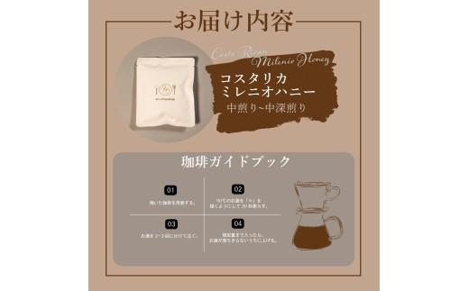 【 選べる 容量 】 ドリップバッグ コーヒー 10袋 コスタリカ 自家焙煎 高級 ドリップ パック バック coffee ko-hi- KO-HI- co-hi- CO-HI- COFFEE 豆 粉 フィルター レギュラー ブレンド キャンプ 珈琲 こーひー コーヒー 焙煎 珈琲 喫茶店 飲み比べ ドリップコーヒー ドリップバック 