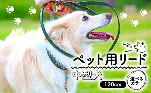 ペット用 リード 中型犬用 レッド 120cm 本革 ペット 犬 愛犬 ワンちゃん 中型犬 首輪 リード 本革 レザー 牛革 牛 散歩 さんぽ ウォーキング 健康 おしゃれ 消耗品 大阪府 松原市