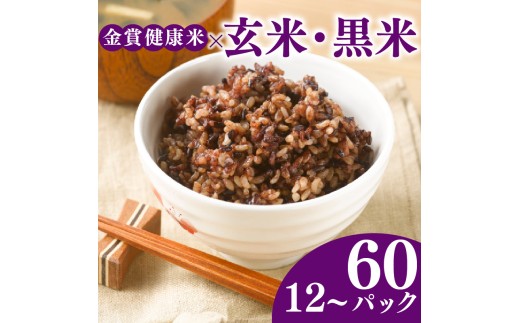 ご飯パック 金賞 健康米 玄米・黒米  120g×48個入り 国産 レンチン もち麦 軽食 夜食 簡単 白米 麦 食物繊維 ビタミン 御飯 ごはん パック ご飯 パックライス