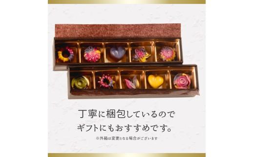 【話題沸騰】 ローチョコレート 10個  ヴィーガン 対応 天然 植物 酵素 ビタミン ミネラル 健康 美容 chocore-to ローチョコ アレルゲン choco アレルギー tyoko  チョコレート チョコ tyokore-to 食物繊維 chokore-to 10 大阪府 松原市