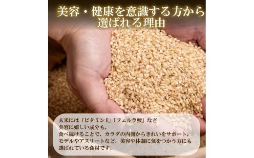 定期便 3回 こしひかり 玄米ごはんパック 120g 24個 玄米 米 お米 ごはん ご飯 こめ パックライス パックご飯 パックごはん ご飯パック ごはんパック パック ライス 備蓄 保存 非常 防災 電子 レンジ 温めるだけ レンチン 簡単 健康 ダイエット 美容 ヘルシー 24 24食 レトルト インスタント おいしい 人気 おすすめ 大阪 松原