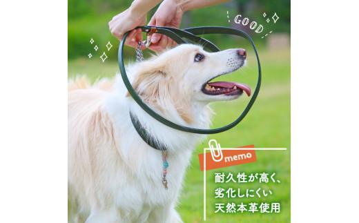 ペット用首輪 ハーフチェーン 中型犬用 カーキ 首回り39-45cm ペット 犬 愛犬 ワンちゃん 中型犬 首輪 リード 本革 レザー 牛革 牛 散歩 さんぽ ウォーキング 健康 おしゃれ 消耗品 大阪府 松原市