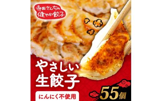 【 メディア多数出演 】 やさしい生餃子 55個 ヘルシー にんにく 不使用 健康 冷凍 餃子 ぎょうざ 国産野菜 おから 鶏肉 アボカド ヨーグルト 生餃子 ギョウザ ギョーザ 焼き餃子 水餃子 冷凍餃子 すいぎょうざ やきぎょうざ すいぎょうざ gyouza 惣菜 GYOUZA 夜ご飯 おかず 時短 大阪府 松原市