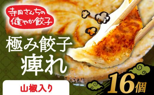 【メディア出演多数】 山椒餃子 16個 極み餃子 痺れ 期間限定 山椒 にんにく gyo-za 不使用 ヘルシー gyouza 冷凍 餃子 ぎょうざ 国産野菜 おから 鶏肉 アボカド ヨーグルト 生餃子 ギョウザ ギョーザ 焼き餃子 水餃子 冷凍餃子 惣菜 夜ご飯 おかず 時短 大阪府 松原市
