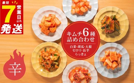 辛口 キムチ 6種 詰め合わせ 食べ比べ 小分け 白菜 長芋 胡瓜 大根 セロリ らっきょ アソート バラエティーセット ごはんのお供 ピリ辛 お米 ごはん ビール 酒 おつまみ 漬物 北海道 昆布 国産 りんご 桃 果物 魚 海鮮 野菜 BBQ 焼肉 惣菜 キムチ鍋 キムチチャーハン お試し 大阪府 松原市