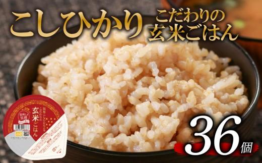 こしひかり 玄米ごはんパック 120g 36個 玄米 米 お米 ごはん ご飯 こめ パックライス パックご飯 パックごはん ご飯パック ごはんパック パック ライス 備蓄 保存 非常 防災 電子 レンジ 温めるだけ レンチン 簡単 健康 ダイエット 美容 ヘルシー 36 36食 レトルト インスタント genmai gohan kome KOME GENMAI