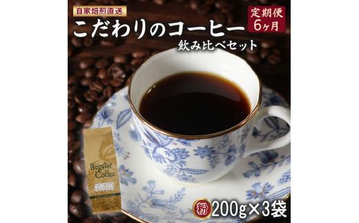 定期便 6ヶ月 コーヒー 粉 計600g(200g×3袋) ロイヤル ブレンド マウンテン ブレンド 今月の スペシャルティ 珈琲 詰め合わせ セット コーヒー豆 コーヒー粉 ドリップ レギュラー 自家 焙煎 煎りたて 挽きたて サン珈琲 大阪府 松原市