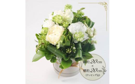 蟄」遽髯仙ョ 繝輔Λ繝ッ繝シ繧「繝ャ繝ウ繧ク繝。繝ウ繝 繝帙Ρ繧、繝 繧ー繝ェ繝シ繝ウ 闃ア譚 繝悶シ繧ア 闃ア 縺願干 縺顔・昴> 雍育ュ皮畑 雍医j迚ゥ 隱慕函譌・ 繧ョ繝輔ヨ 繝励Ξ繧シ繝ウ繝 豈阪ョ譌・ 繝ゥ繝繝斐Φ繧ー 繧、繝ウ繝繝ェ繧「 縺翫∪縺九○ 螟ァ髦ェ蠎 譚セ蜴溷ク