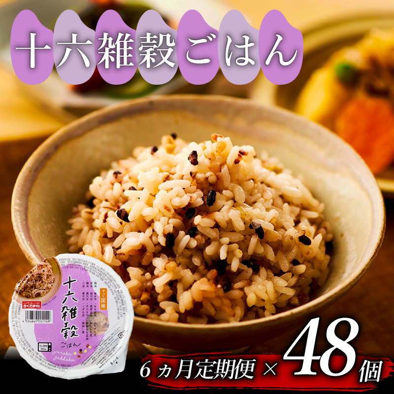 定期便 6回 十六雑穀 ごはんパック 160g 48個 パックごはん パックご飯 ごはんパック ご飯パック パックライス パック 16雑穀 雑穀 米 ごはん ご飯 こめ ライス 備蓄 保存 防災 レンジ 調理 簡単 レンチン 温めるだけ 健康 ダイエット 美容 栄養 ヘルシー 国産 48 48食 レトルト インスタント おいしい 人気 おすすめ おくさま印 大阪 松原