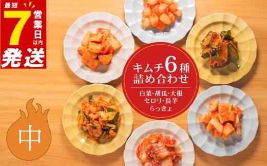中辛 キムチ 6種 詰め合わせ 食べ比べ 小分け 白菜 長芋 胡瓜 大根 セロリ らっきょ アソート バラエティーセット ごはんのお供 ピリ辛 お米 ごはん ビール 酒 おつまみ 漬物 北海道 昆布 国産 りんご 桃 果物 魚 海鮮 野菜 BBQ 焼肉 惣菜 キムチ鍋 キムチチャーハン お試し 大阪府 松原市
