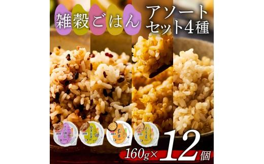 雑穀ごはん アソートセット 4種 160g 12個 十六雑穀 発芽玄米 玄米 もち麦 パックごはん パックご飯 ごはんパック ご飯パック パックライス パック 16雑穀 雑穀 米 ごはん ご飯 こめ ライス 備蓄 保存 防災 レンジ 温めるだけ レンチン 簡単 調理 健康 栄養 ダイエット 美容 レトルト インスタント 国産 セット 人気 おいしい 12 12食 おくさま印 大阪 松原
