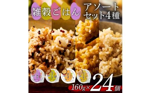 雑穀ごはん アソートセット 4種 160g 24個 十六雑穀 発芽玄米 玄米 もち麦 パックごはん パックご飯 ごはんパック ご飯パック パックライス パック 16雑穀 雑穀 米 ごはん ご飯 こめ ライス 備蓄 保存 防災 レンジ 温めるだけ レンチン 簡単 調理 健康 栄養 ダイエット 美容 レトルト インスタント 国産 セット 人気 おいしい 24 24食 おくさま印 大阪 松原