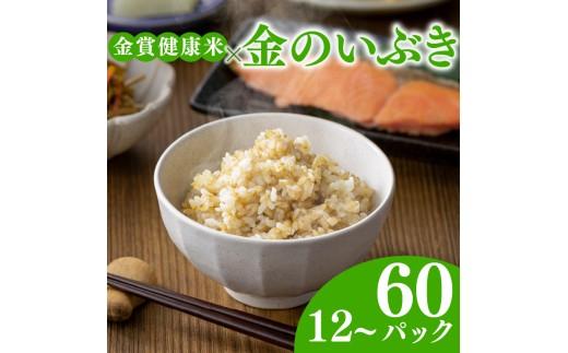 ご飯パック 金賞 健康米 金のいぶき  120g×60個入り 国産 レンチン もち麦 軽食 夜食 簡単 白米 麦 食物繊維 ビタミン 御飯 ごはん パック ご飯 パックライス 