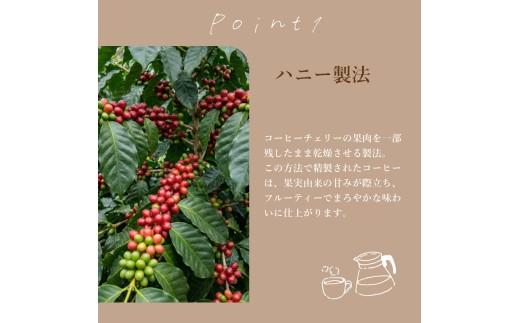 【 選べる 容量 】 ドリップバッグ コーヒー 10袋 コスタリカ 自家焙煎 高級 ドリップ パック バック coffee ko-hi- KO-HI- co-hi- CO-HI- COFFEE 豆 粉 フィルター レギュラー ブレンド キャンプ 珈琲 こーひー コーヒー 焙煎 珈琲 喫茶店 飲み比べ ドリップコーヒー ドリップバック 