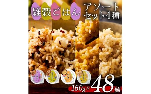 雑穀ごはん アソートセット 4種 160g 48個 十六雑穀 発芽玄米 玄米 もち麦 パックごはん パックご飯 ごはんパック ご飯パック パックライス パック 16雑穀 雑穀 米 ごはん ご飯 こめ ライス 備蓄 保存 防災 レンジ 温めるだけ レンチン 簡単 調理 健康 栄養 ダイエット 美容 レトルト インスタント 国産 セット 人気 おいしい 48 48食 おくさま印 大阪 松原