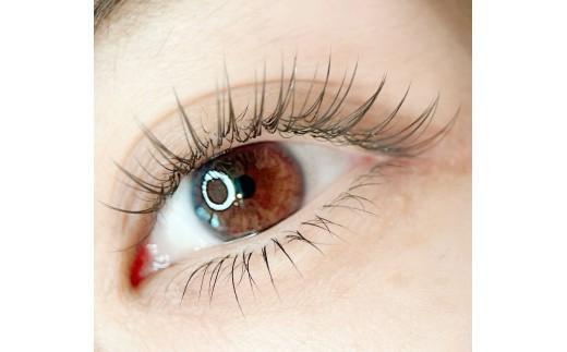 マツエク LEDフラットラッシュ つけ放題 1回券 リピーター続出 まつ毛エクステ マツエク施術 ナチュラルデザイン 美容 メイク サロン アイメイク 目元 リフトアップ 時短 カウンセリング 大阪府 松原市 体験チケット お試し 大会受賞歴あり 認定講師