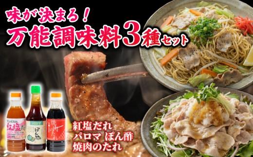 【創業90年・大阪 老舗地ソースメーカー】 万能 調味料 3種 アソート セット ( ポン酢 / 焼肉のたれ / 紅塩だれ ) 和泉食品 パロマ 3本 詰め合わせ 地ソース お取り寄せ グルメ ドレッシング 無添加 鍋 焼肉 料理 松原市