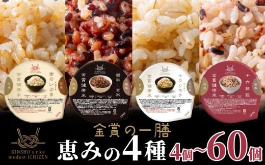 ご飯パック 金賞 健康米 食べ比べ 恵みの4種セット 黒米 金のいぶき キラリモチ 十六雑穀 120g×12個入り 国産 レンチン もち麦 軽食 夜食 簡単 白米 麦 食物繊維 ビタミン 御飯 ごはん パック ご飯 パックライス