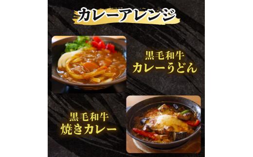 訳あり 黒毛和牛 レトルト カレー 200g×3袋 600g パウチ レトルトカレー 牛肉 ビーフカレー 和牛 簡易包装 温めるだけ 簡単調理 時短 レンジ 湯煎 常温 備蓄 家庭用 たっぷり 200g カレーうどん カレーライス お取り寄せ 大阪府 松原市