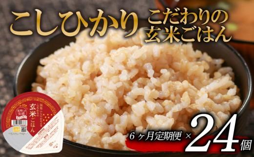 定期便 6回 こしひかり 玄米ごはんパック 120g 24個 玄米 米 お米 ごはん ご飯 こめ パックライス パックご飯 パックごはん ご飯パック ごはんパック パック ライス 備蓄 保存 非常 防災 電子 レンジ 温めるだけ レンチン 簡単 健康 ダイエット 美容 ヘルシー 24 24食 レトルト インスタント おいしい 人気 おすすめ 大阪 松原