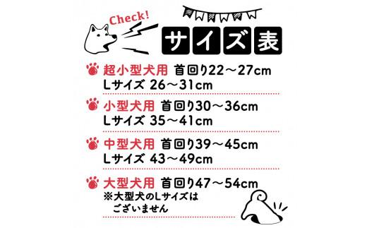 ペット用首輪 ハーフチェーン 中型犬用 オレンジ 首回り39-45cm ペット 犬 愛犬 ワンちゃん 中型犬 首輪 リード 本革 レザー 牛革 牛 散歩 さんぽ ウォーキング 健康 おしゃれ 消耗品 大阪府 松原市
